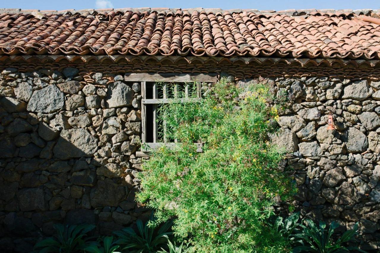 Finca El Patio Los Realejos Exteriör bild