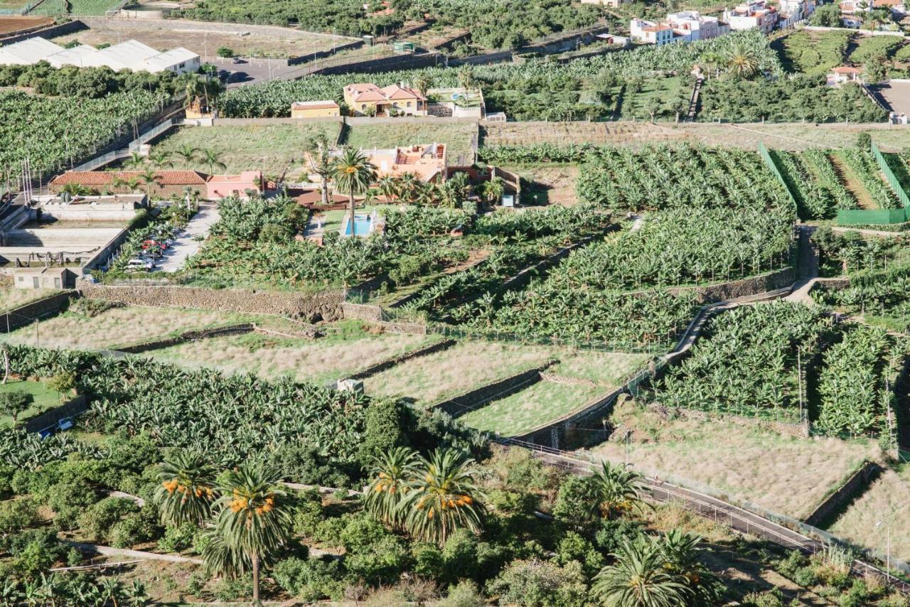 Finca El Patio Los Realejos Exteriör bild